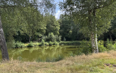 Vakantie Twente: fietsen langs kastelen en streekgerechten