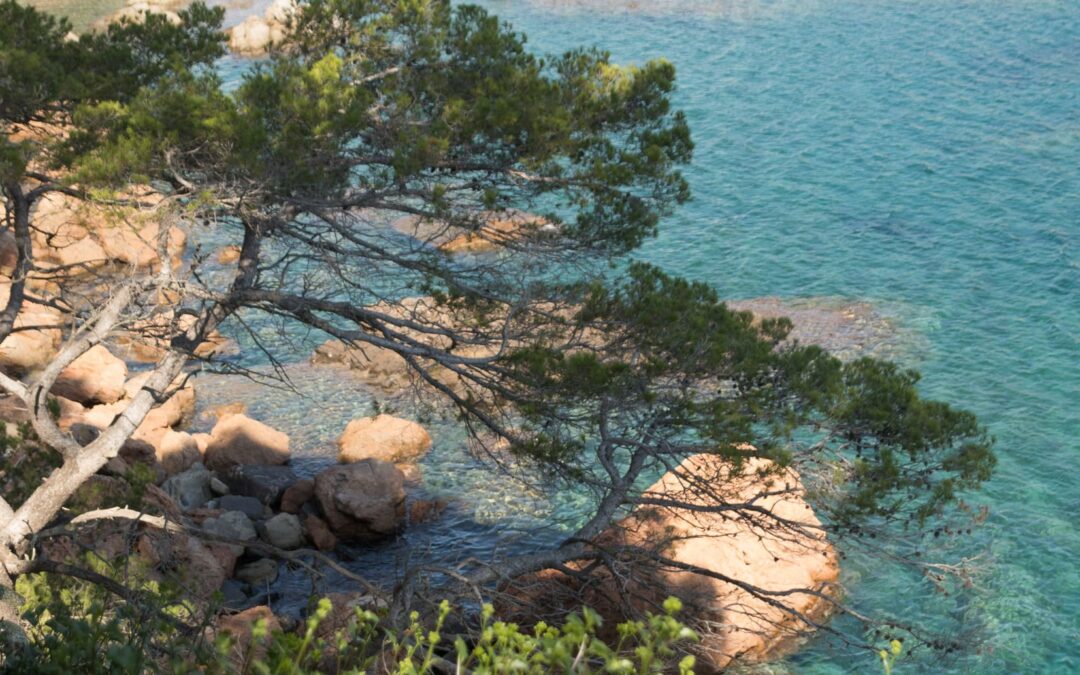 cami de ronda - costa brava baai