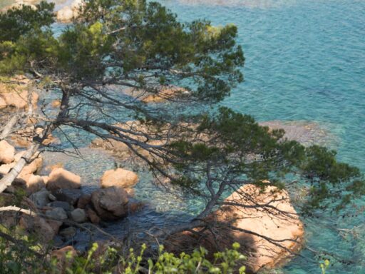 cami de ronda - costa brava baai