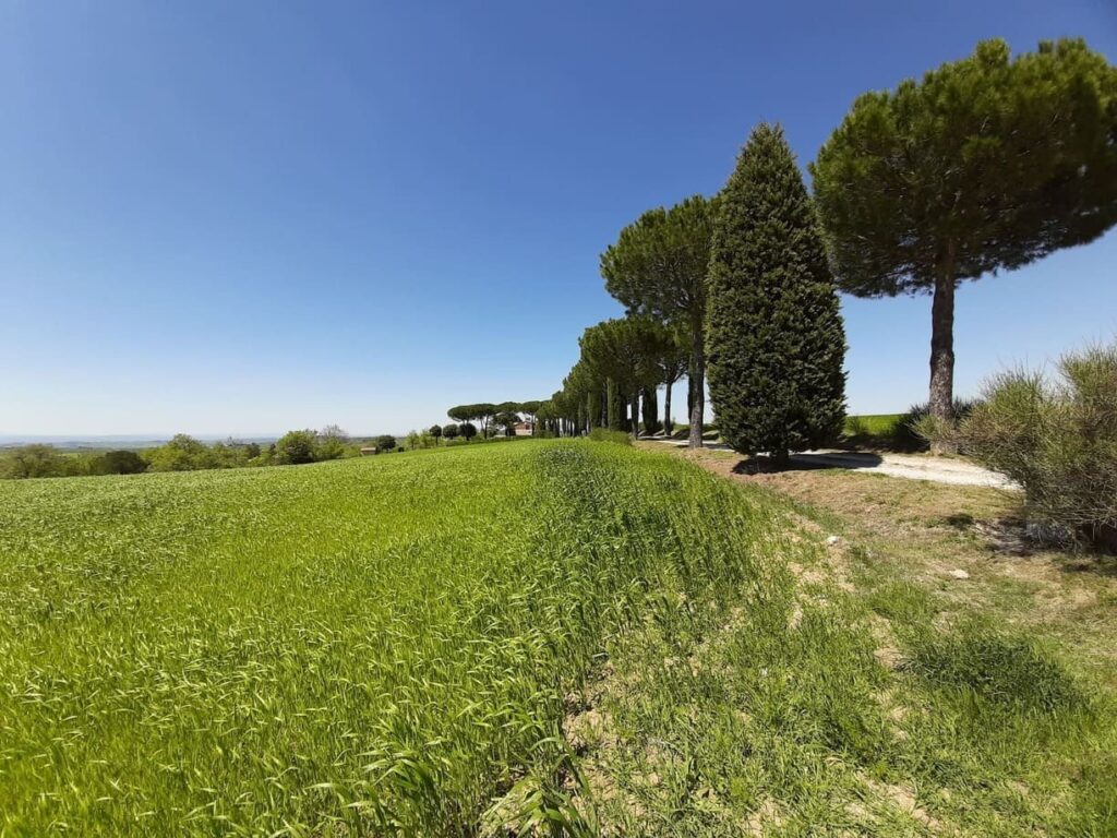 Val d'orcia - wandelpad