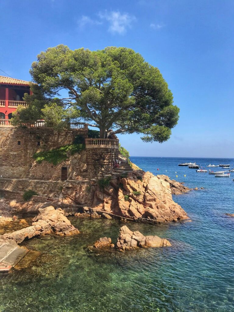 Cami de ronda - baai