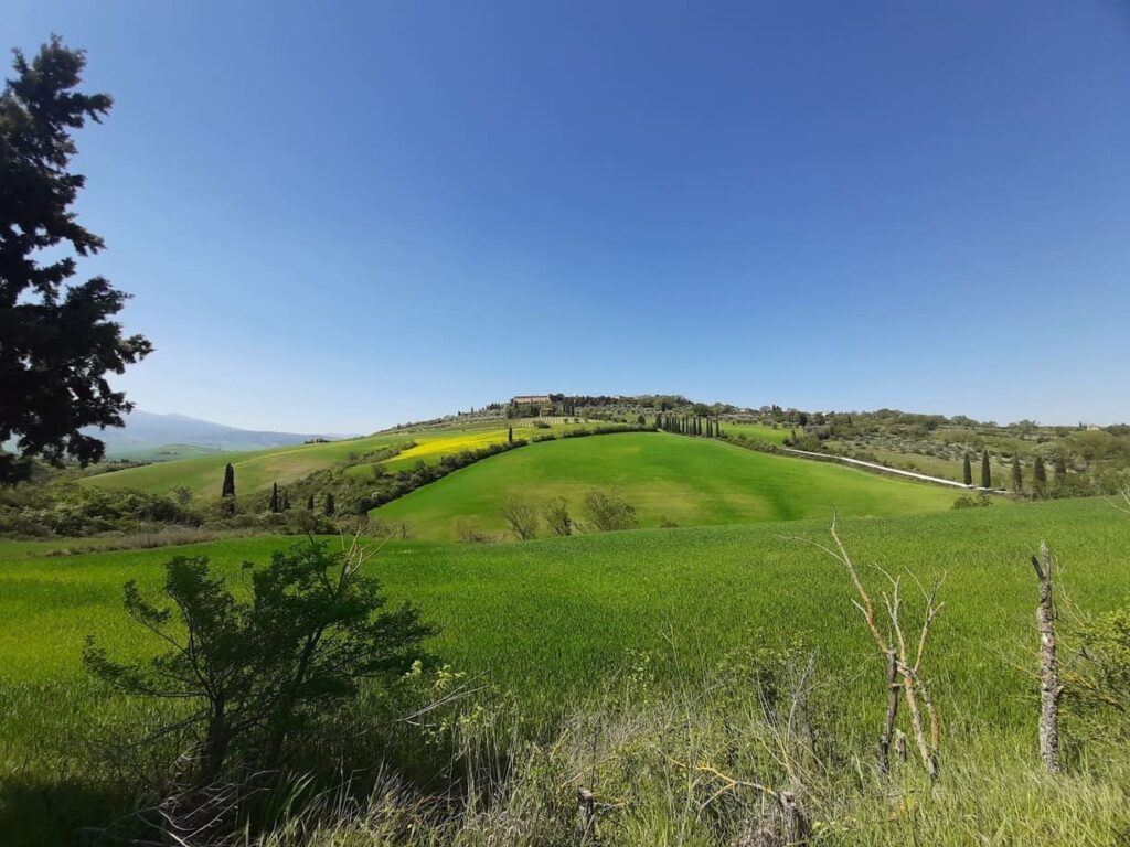 pienza - montepulciano