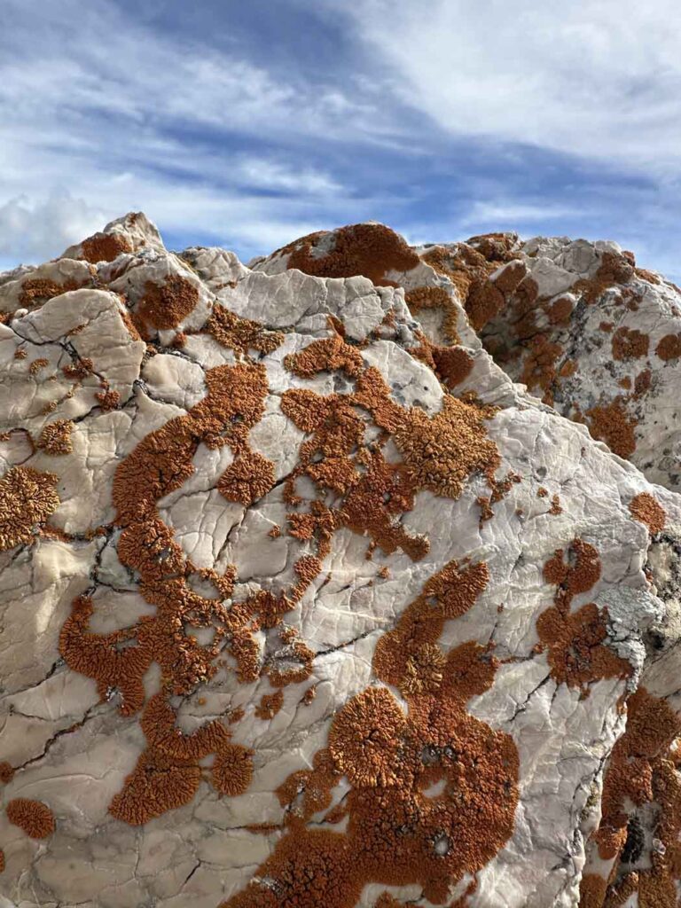 De Alpen bij Cuneo ontdekken op de Via del Sale 9 Foto 16 09 2025 15 01 25 kopie
