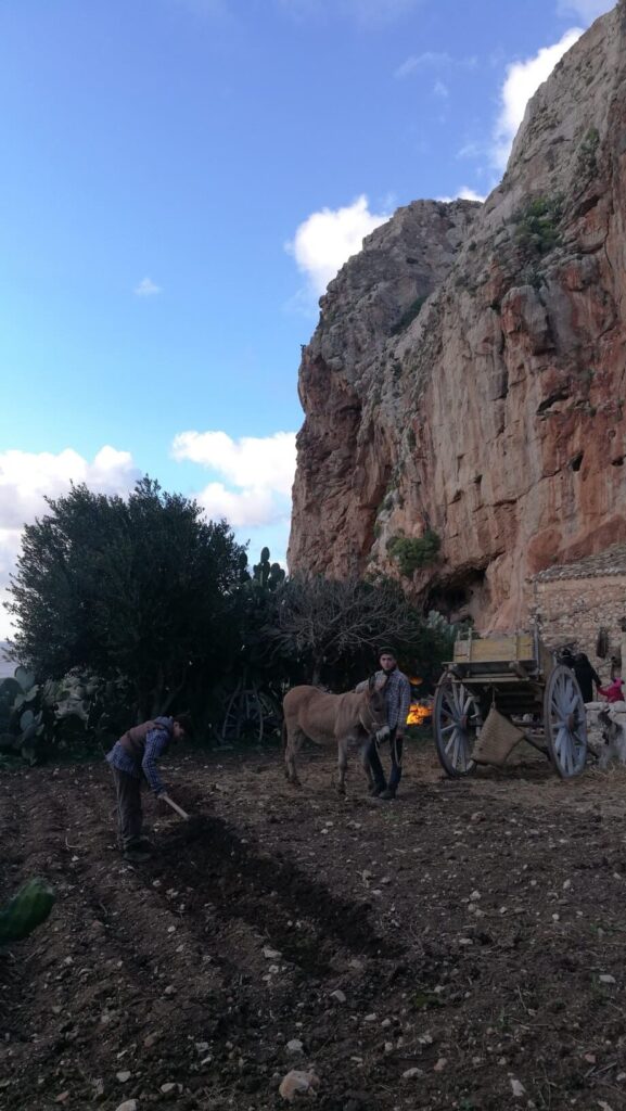 San Vito lo Capo - arbeiders op het land