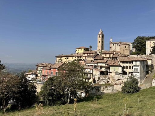 Fietsen in de langhe - Monforte d'Alba - van boven