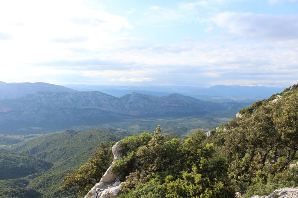 Supramonte Dorgali - natuur