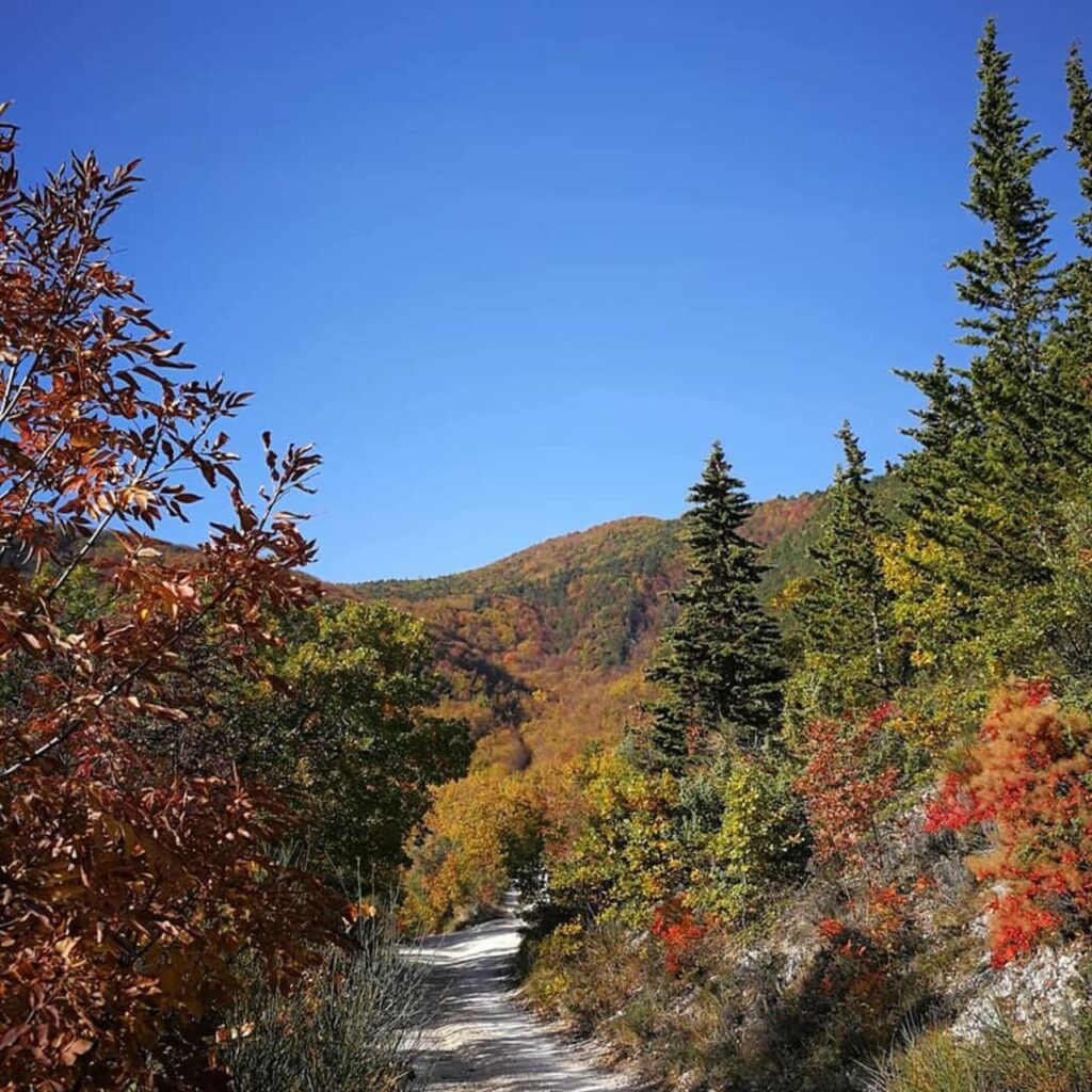 Le Marche, wandelen tussen zee, heuvels en bergen 10 le marche - wandelpad herfst