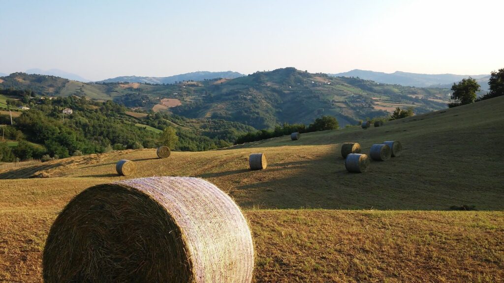 La Vecchia Fontana 2 La vecchia fontana - hooibalen