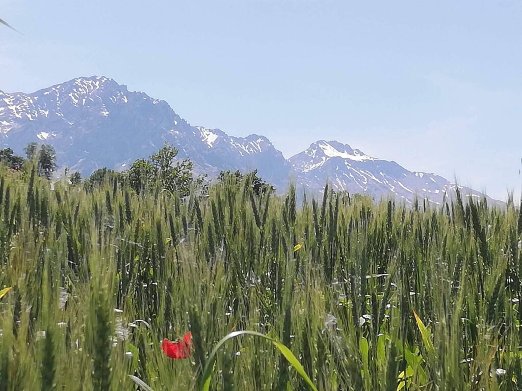 La Vecchia Fontana 3 La vecchia fontana - gras en besneeuwde bergen
