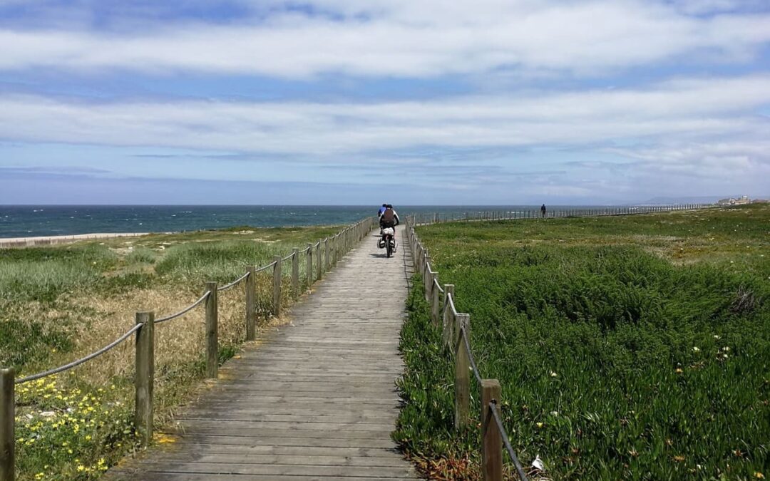 Camino Portuges - fietsen - houten vlonders langs kust