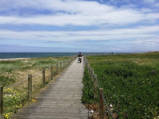 Camino Portuges - fietsen - houten vlonders langs kust