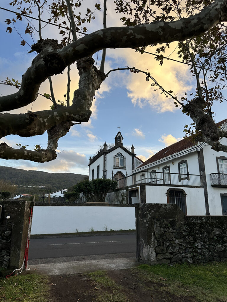 21 Biscoitos vineyard Tereceira