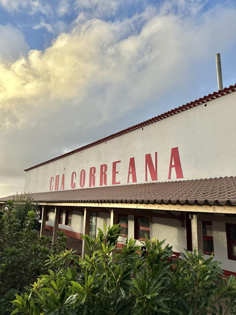 São Miguel Azoren, Portugal 24 26 theeplantages van Gorreana