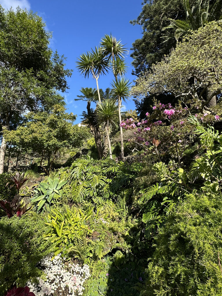 38 Jardim Duque da Terceira