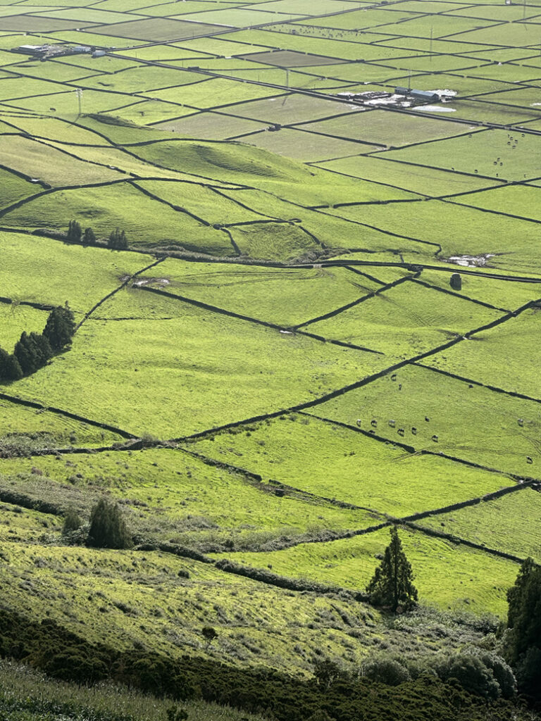 42 Serra da Ribeirinha Terceira