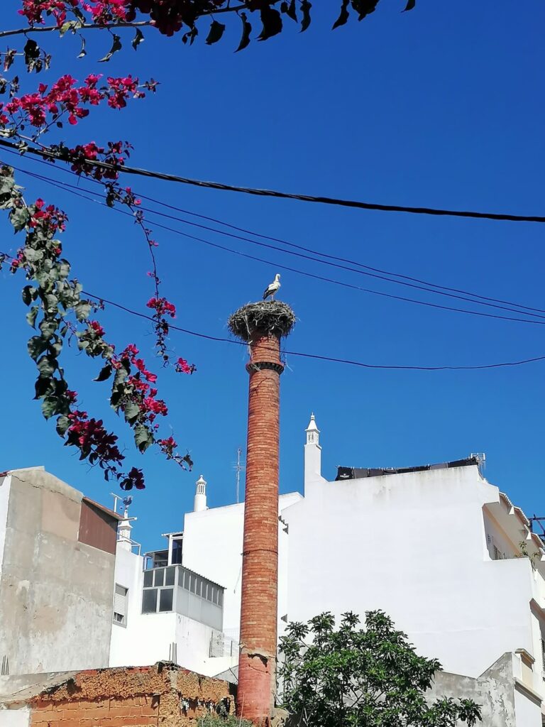 Quinta Alfarrobeira - ooievaarsnest