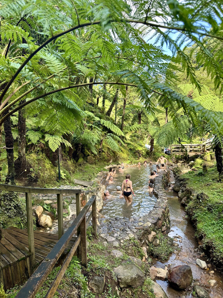 São Miguel Azoren, Portugal 39 Foto 14 11 2025 10 56 47