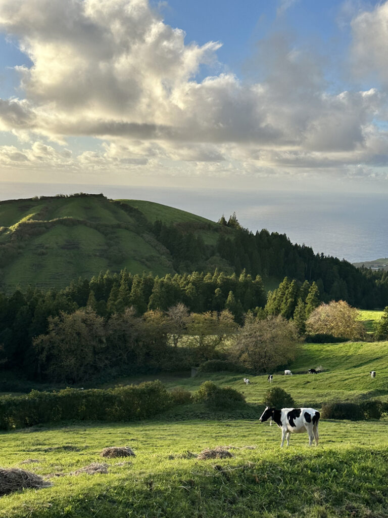 São Miguel Azoren, Portugal 25 Foto 14 11 2025 16 40 49