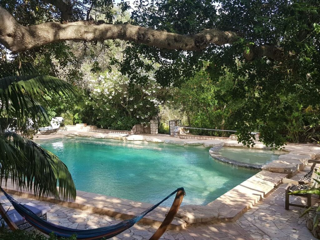 Quinta Alfarrobeira - zwembad met bomen