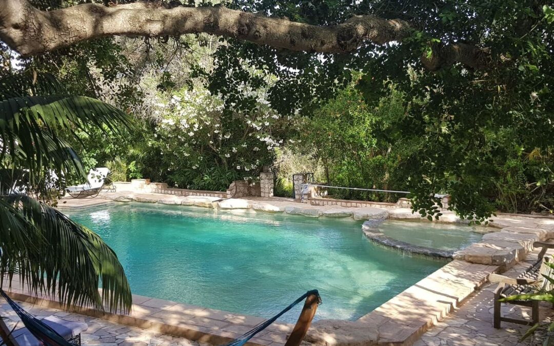 Quinta Alfarrobeira - zwembad met bomen