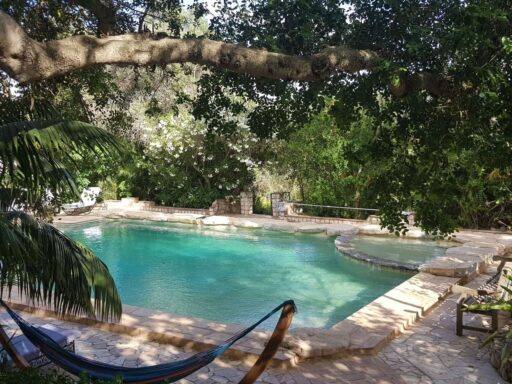 Quinta Alfarrobeira - zwembad met bomen