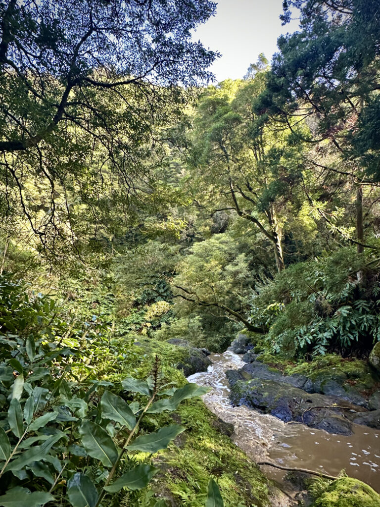 São Miguel Azoren, Portugal 33 W2 doorkijkje Trilho Municipal Moinho do Felix 11 04 22