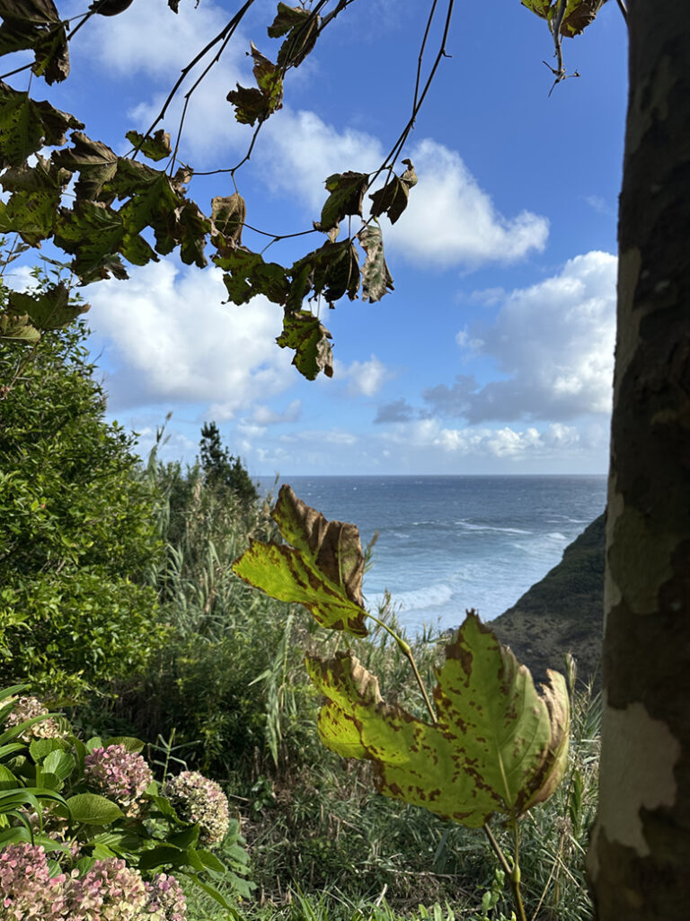 São Miguel Azoren, Portugal 28 W2 doorkijkje Trilho Municipal Moinho do Felix