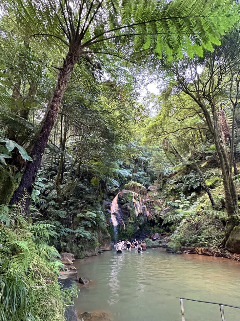 São Miguel Azoren, Portugal 37 W3 Caldeira Velha 11 08 37