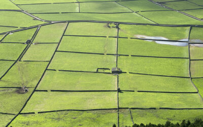 Terceira, Azoren: landbouw, cultuur en veel historie
