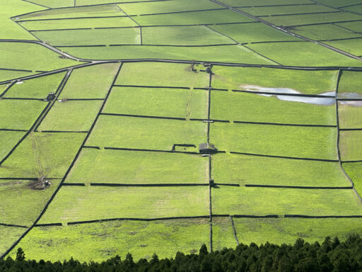 Terceira - akkervelden