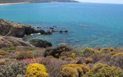 Kust-wandelen op Sardinië: 8 dagen door wilde natuur en kristalhelder water