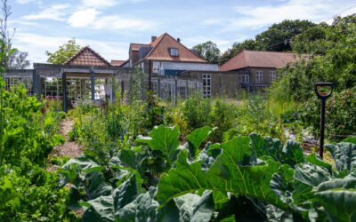 Avno Oasis: eco-community in Denemarken