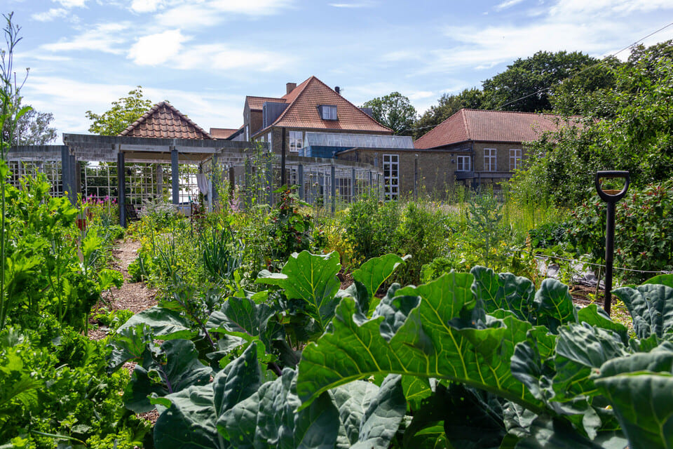 Avno Oasis: moestuin en huis