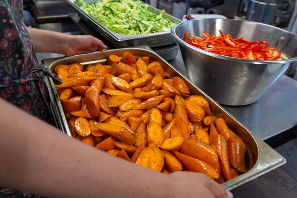 Avno Oasis: koken wortels