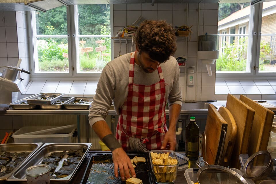 Avno Oasis: koken in de keuken