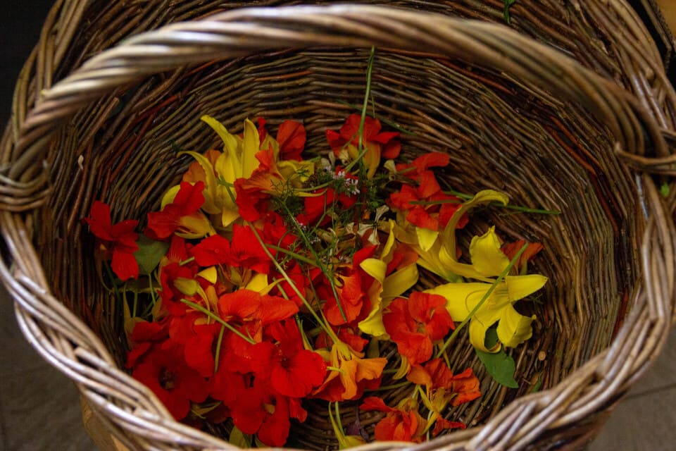 Avno Oasis: bloemen in mand