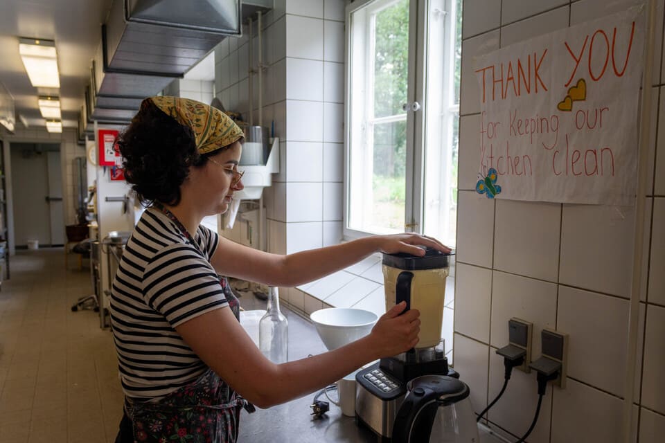 Avno Oasis: keuken blender