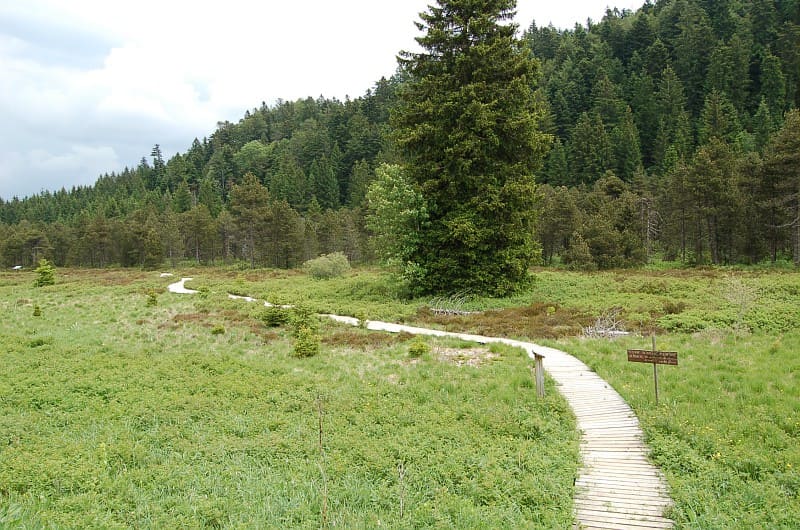haut jura - wandelpad houten vlonder Tourière du Nanchez à Prénovel