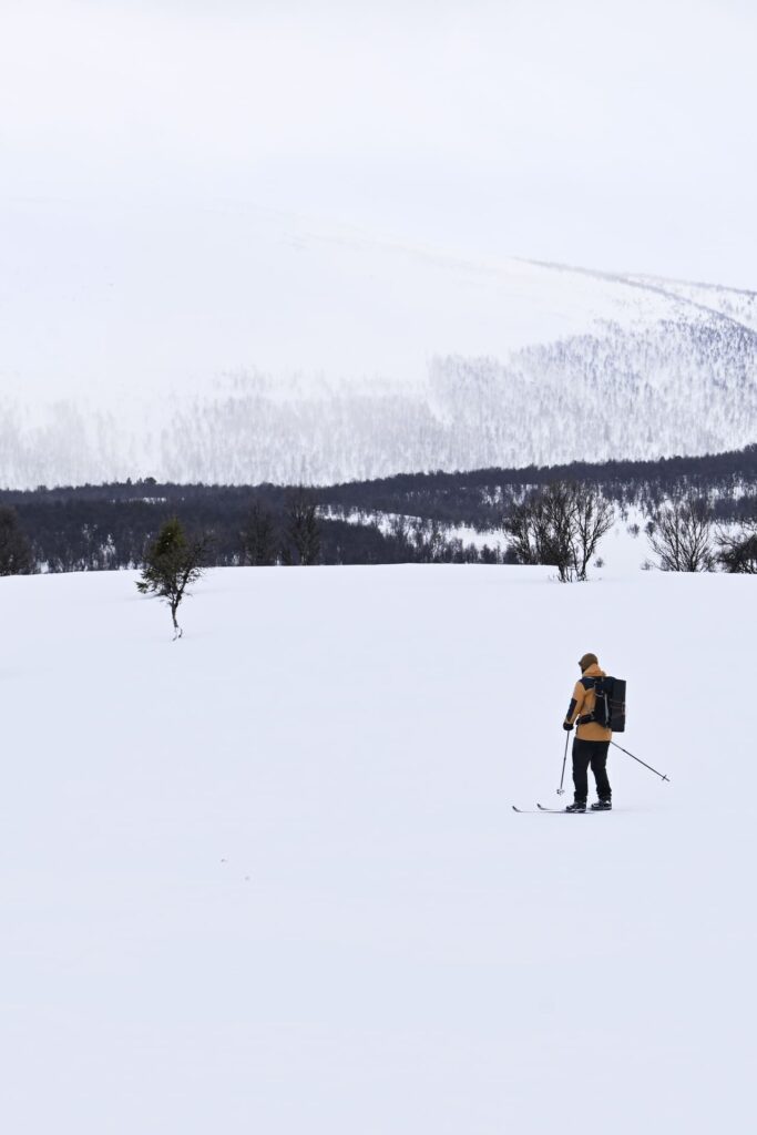 Rondreis Midden Noorwegen: 7-daagse winter rondreis 18 back country skien naar mount pika