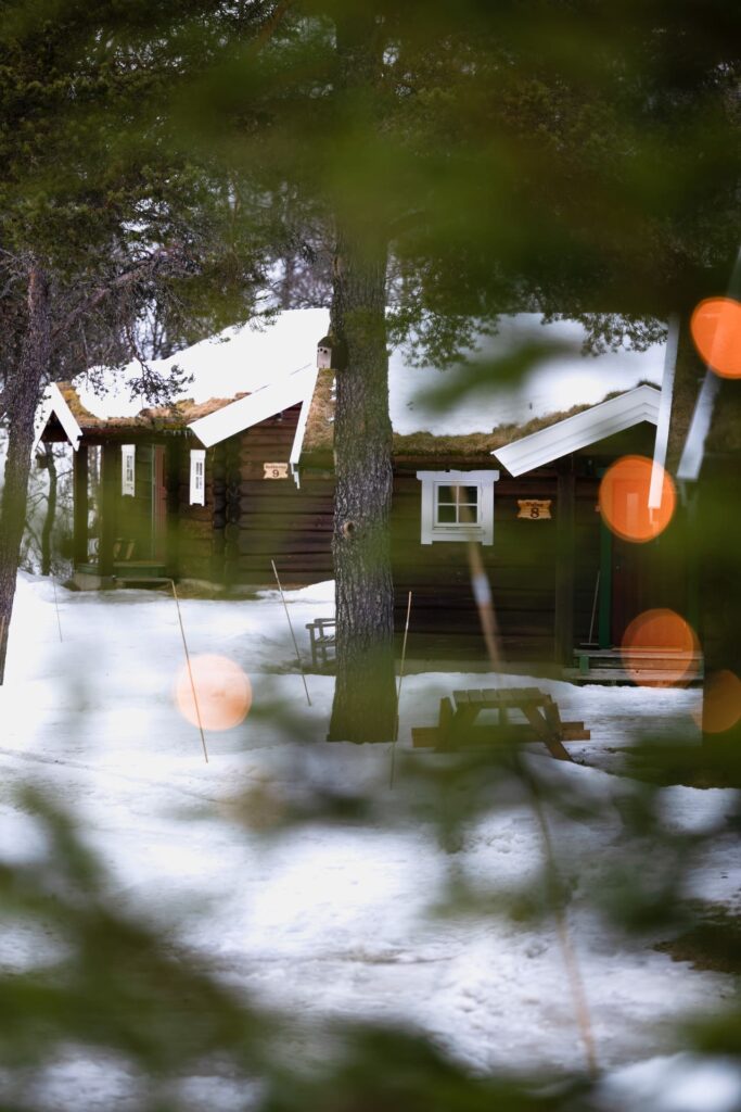 Rondreis Midden Noorwegen: 7-daagse winter rondreis 11 Rondane river lodge - lodges in sneeuw