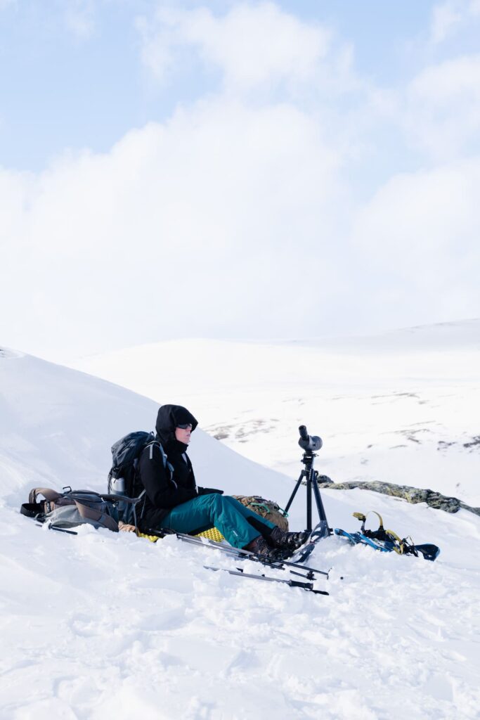 Rondreis Midden Noorwegen: 7-daagse winter rondreis 20 Dovrefjell - muskusos spotten