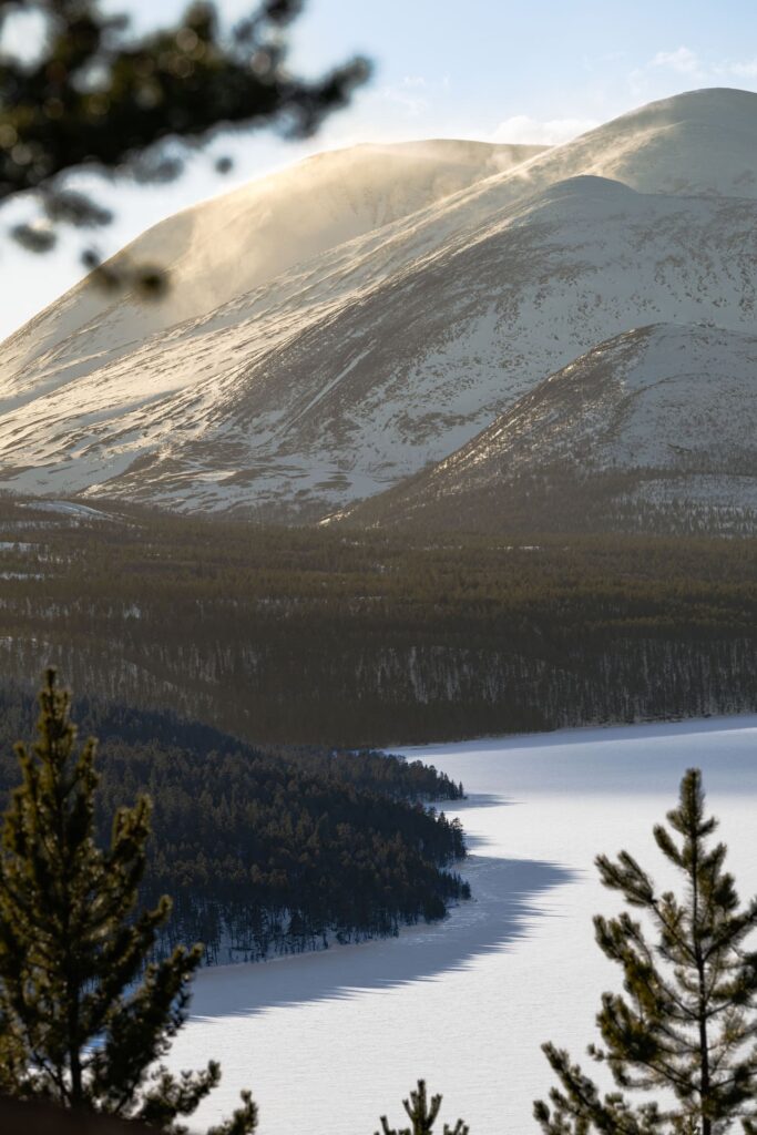 Rondreis Midden Noorwegen: 7-daagse winter rondreis 19 Dovrefjell - bos