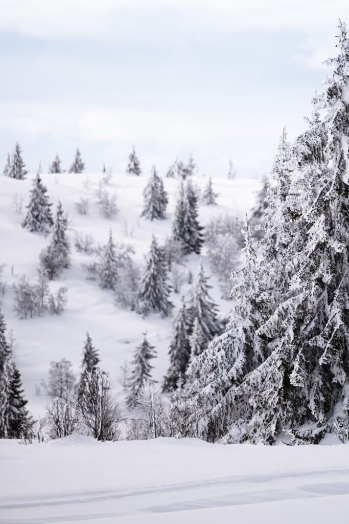 Rondreis Midden Noorwegen: 7-daagse winter rondreis 30 5 1