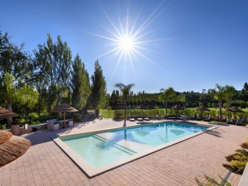 Casa da Amieira - zwembad in zon