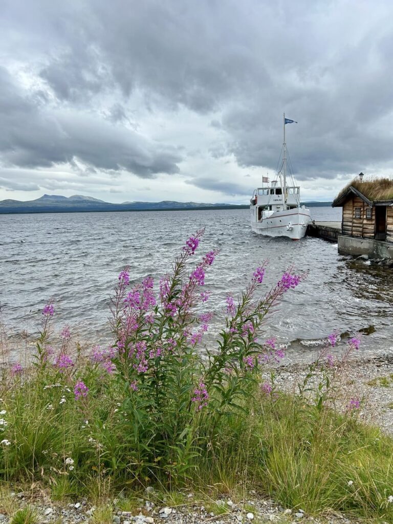 Femundsmarka - bloemen bij boot