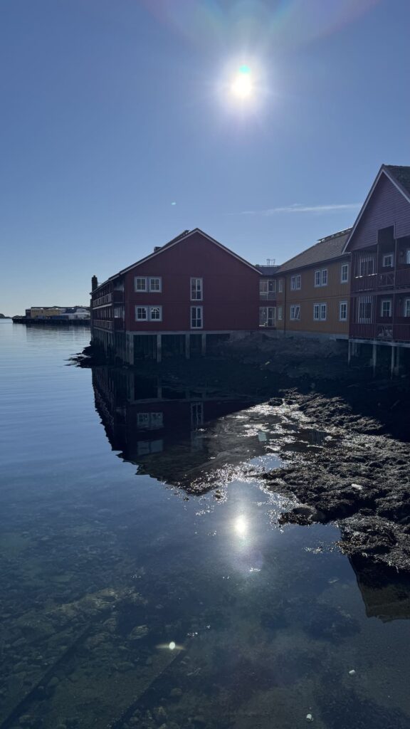 Lofoten - Svolvaer - rode en gele huizen in de zon