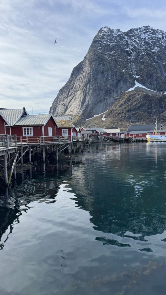 Lofoten - reine - vissershuisjes en berg