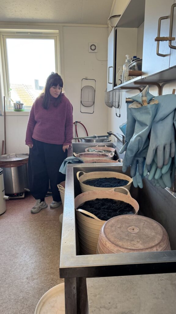 Lofoten wool - plantaardige verf wol