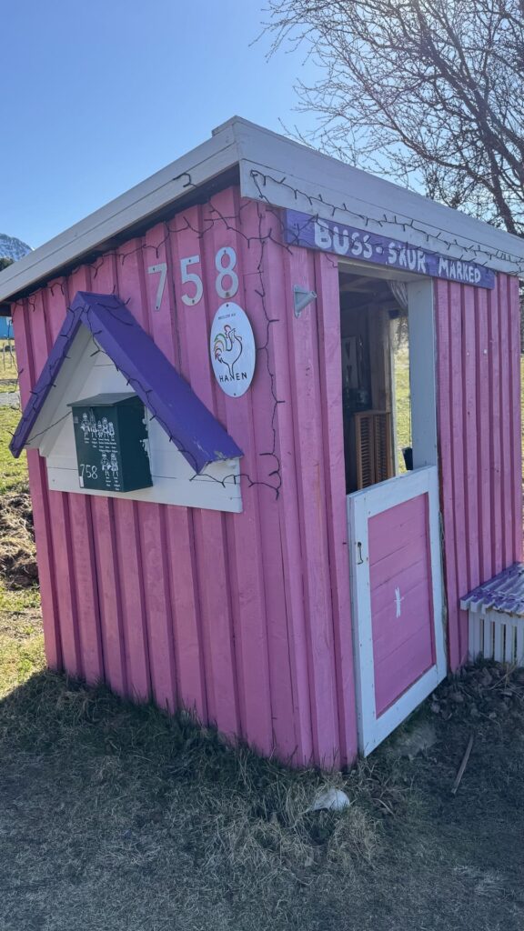 Vesteralen - norheimgard - bushuisje aan weg