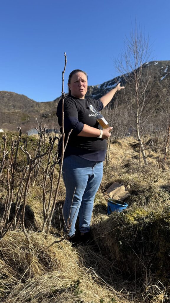 Vesteralen - norheimgard - anne legt uit